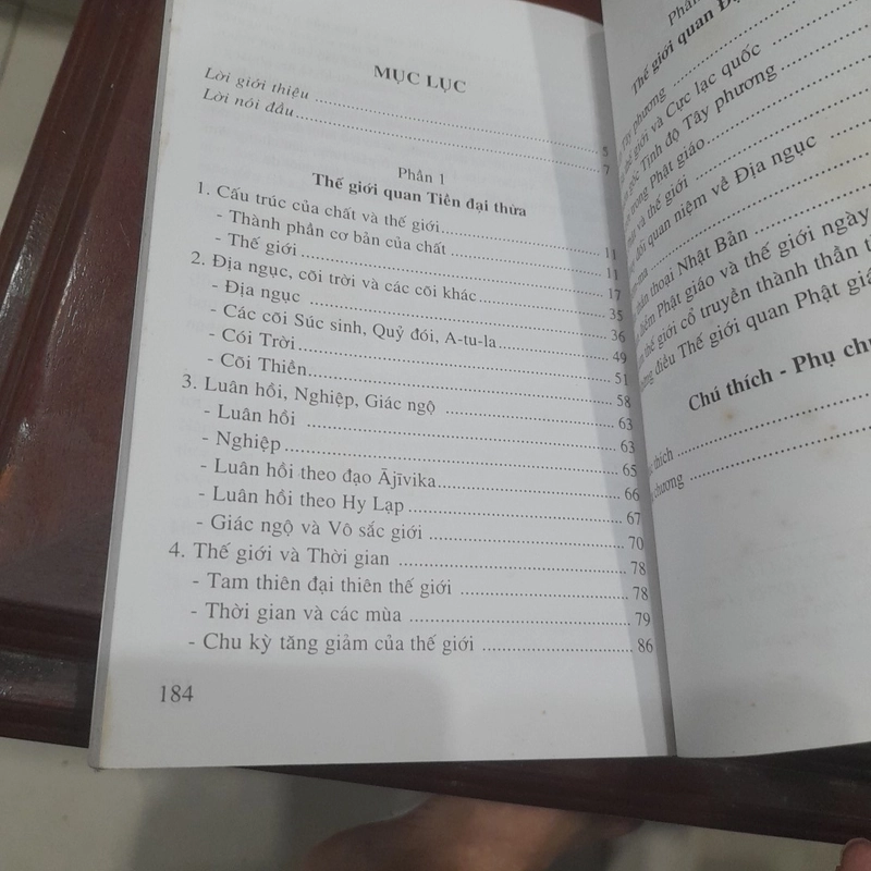 CÕI TA BÀ, thế giới quan Phật giáo nguồn gốc & triết lý 277736