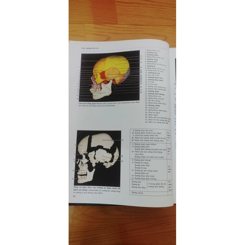 ATLAS GIẢI PHẪU NGƯỜI  525866