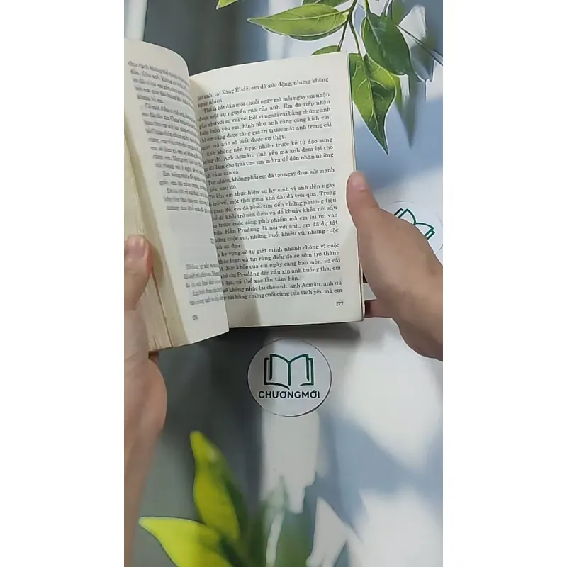 Trà Hoa Nữ 674981