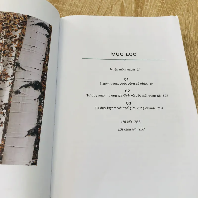 LAGOM BIẾT ĐỦ MỚI LÀ TỰ DO  996165