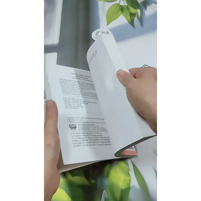 Vội Vã, Quá Vội Vã - Quỳnh Dao 744717