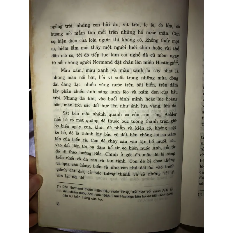 Con chim trốn tuyết - Paul Gallico 996823