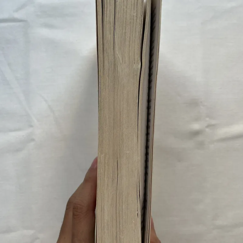 The Invention of Wings - Sue Monk Kidd 789456