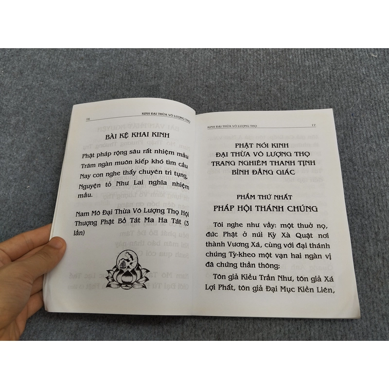 PHẬT THUYẾT ĐẠI THỪA VÔ LƯỢNG THỌ TRANG NGHIÊM THANH TỊNH BÌNH ĐẲNG GIÁC KINH 494697