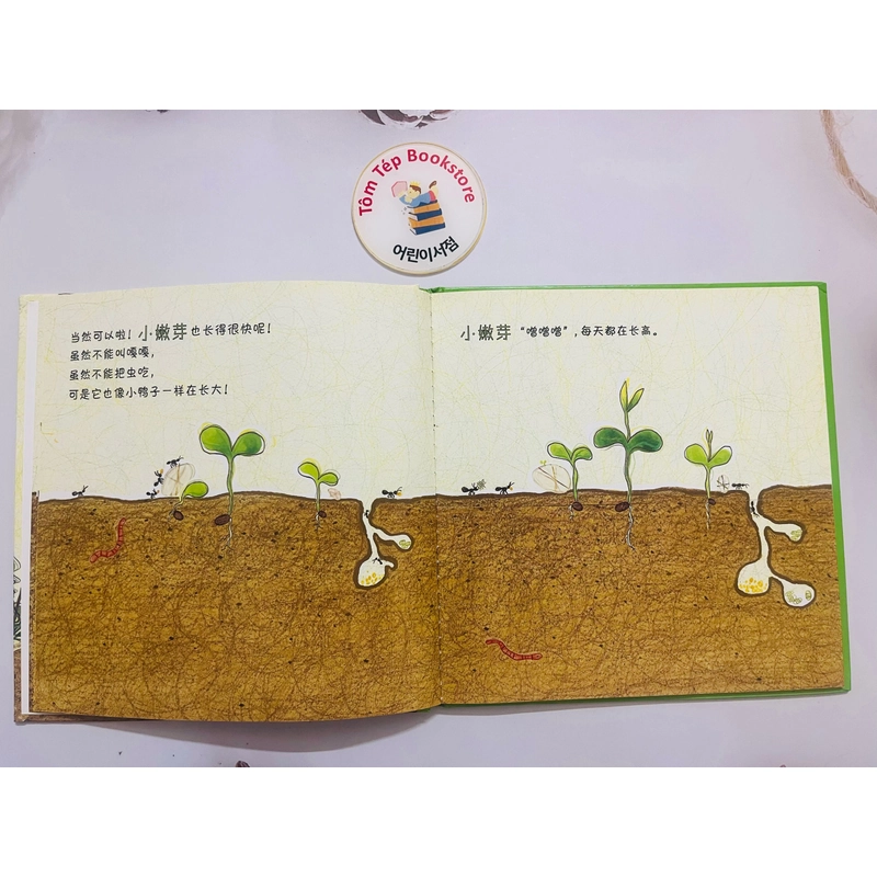Picturebook bìa cứng tiếng Trung- chủ đề tự nhiên 466257