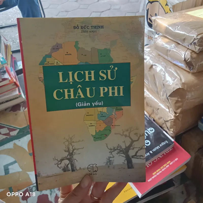 Lịch Sử Châu Phi( Giản Yếu) - Đỗ Đức Thịnh 739331