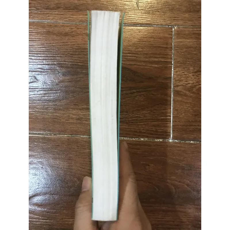 Tuyết Hoa và Cây Quạt Bí Mật – Lisa See (6) 733099