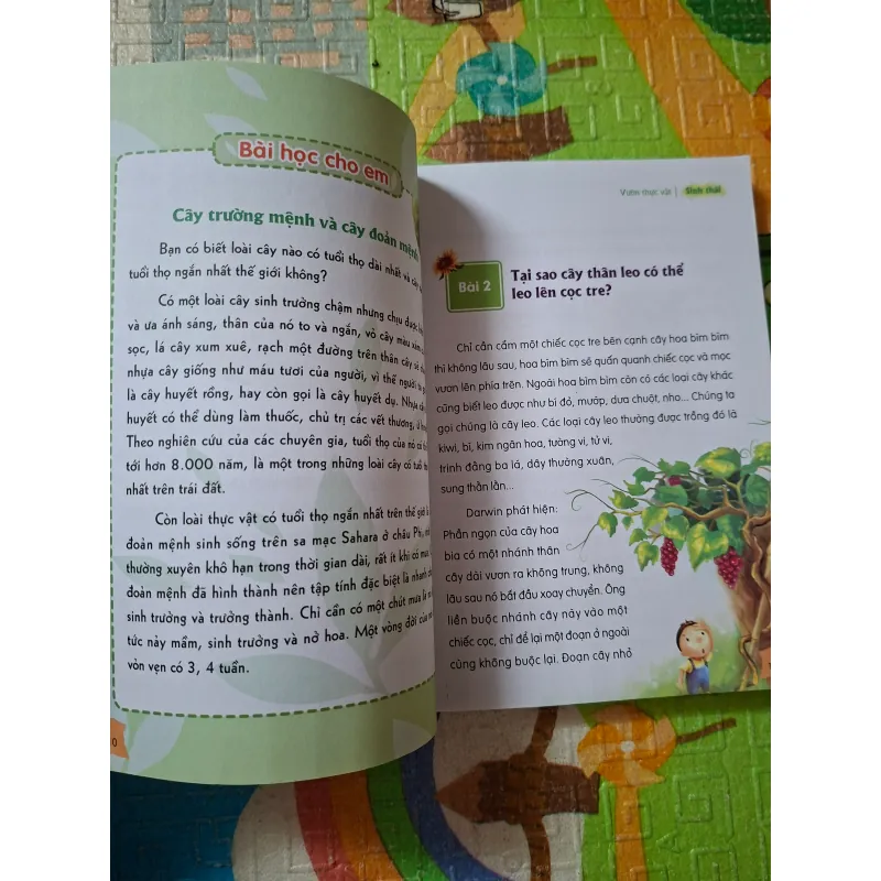 Thư viện Tri thức dành cho học sinh - Khám phá Thế giới tự nhiên 966562