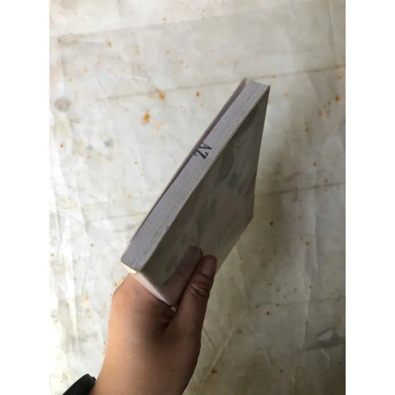 Chuyện Về Những Lăng Kính - Nguyễn Lê Sang 931235