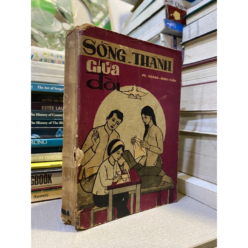Sống Thánh giữa đời - Ph. Hoàng Minh Toán 546376
