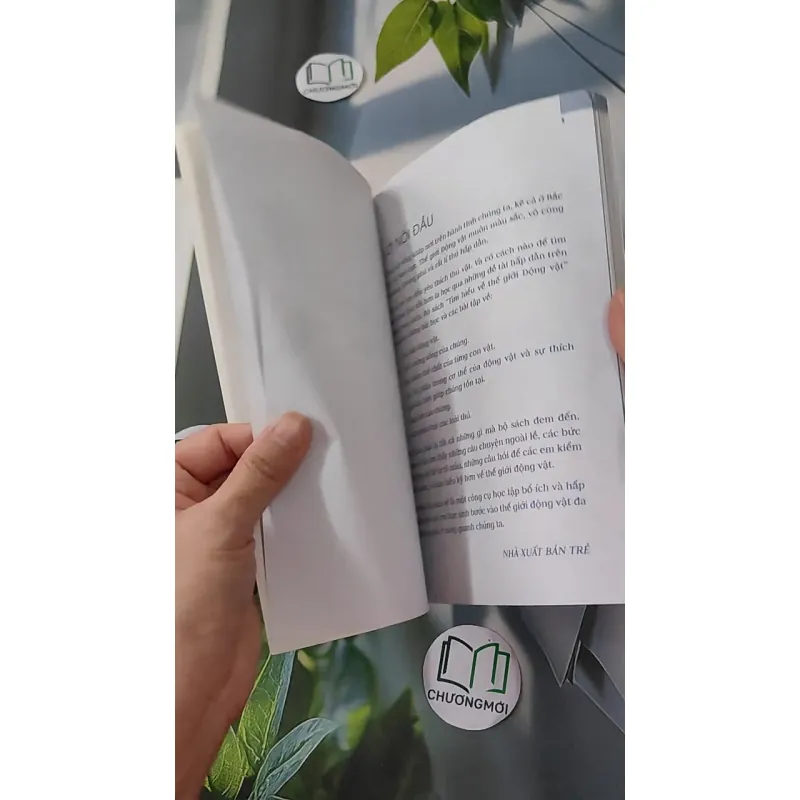 Động vật: Sống dưới nước, bò sát và côn trùng - An Khánh 1018832