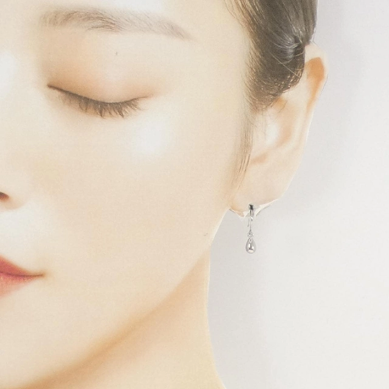 PT900 Bông tai - Hàng hiệu Chính hãng 864022