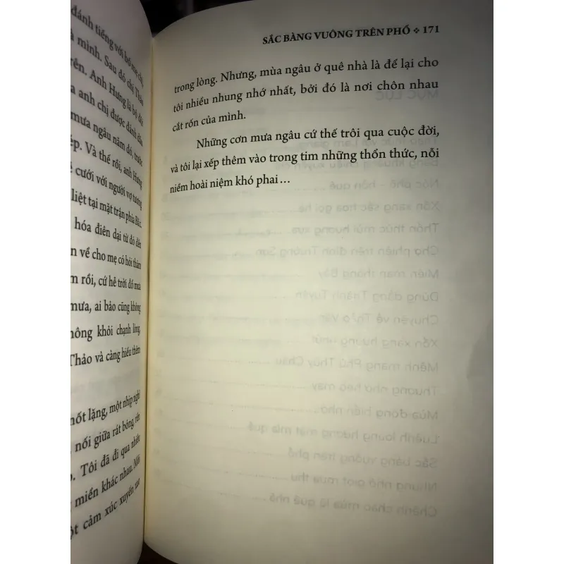 Sắc bàng vuông trên phố - Lê Mạnh Thường  1007090