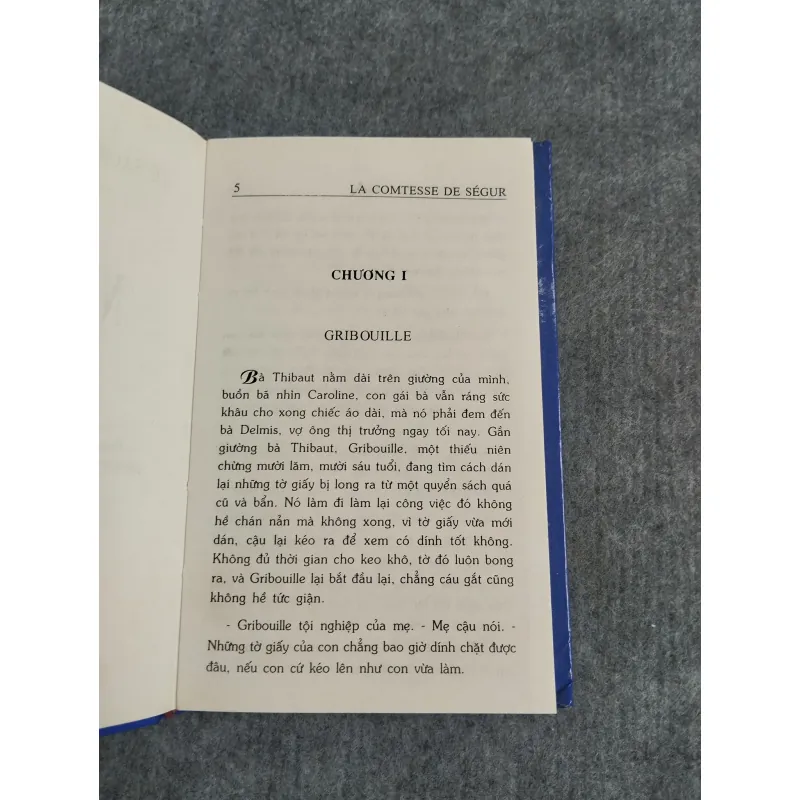 NGƯỜI CHỊ CỦA GRIBOUILLE - LA COMTESSE DE SÉGUR 568041
