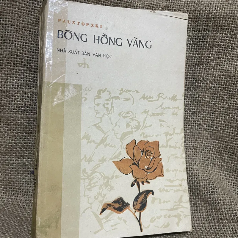 Bình minh mưa, Bông Hồng vàng , một mình với mùa thu (tiểu luận, chân dung) - Paustovsky 719411