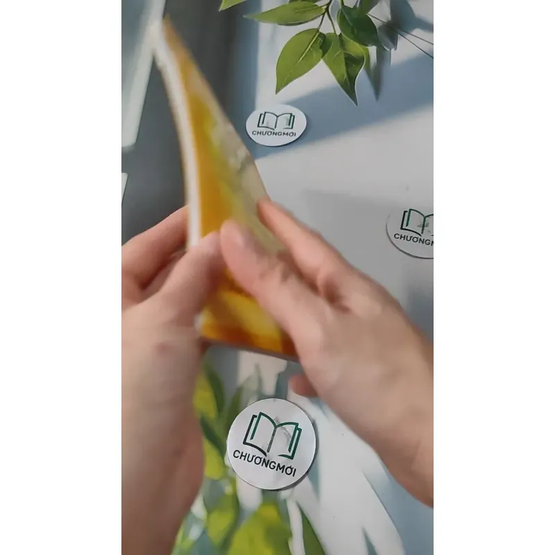 Nghiên Cứu Phương Pháp Khai Thác Tiềm Năng Chu Kỳ Thứ 2 Của Con Người - Phạm Đình Nghi 727276