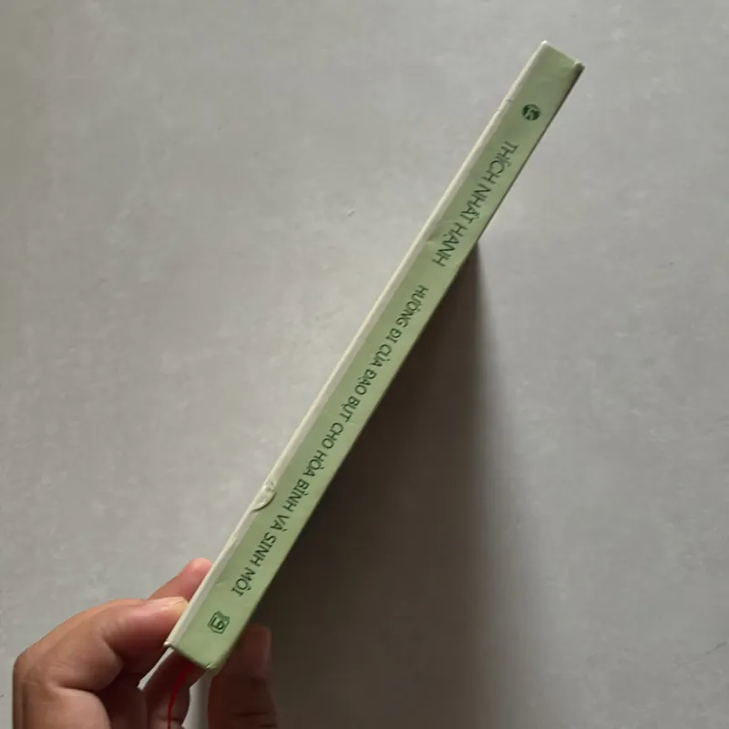 Hướng đi của đạo Bụt - Thích Nhất Hạnh (t01) 750514