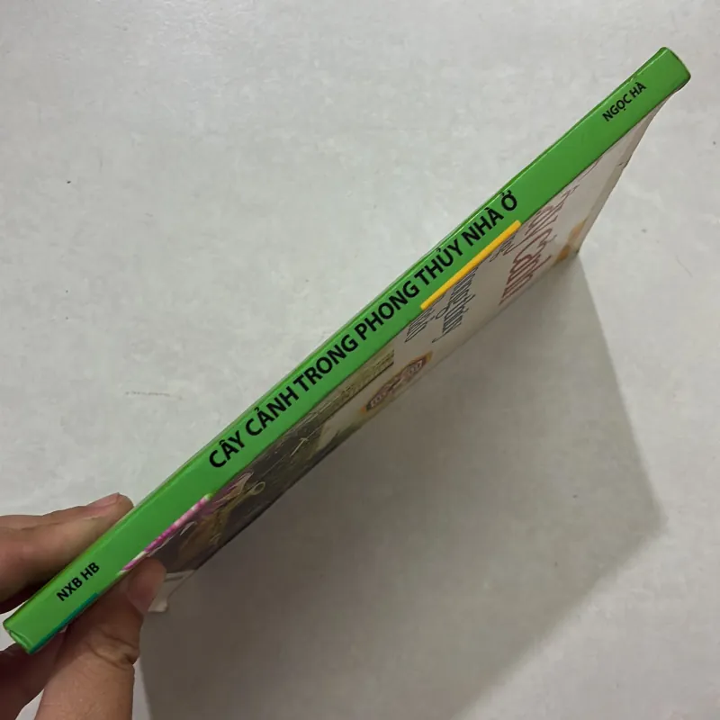 Cây cảnh trong phong thủy nhà ở 764640