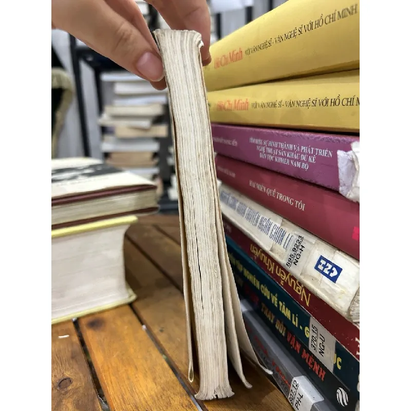 Văn học các nước Đông Nam Á – Đức Ninh (chủ biên) 593453