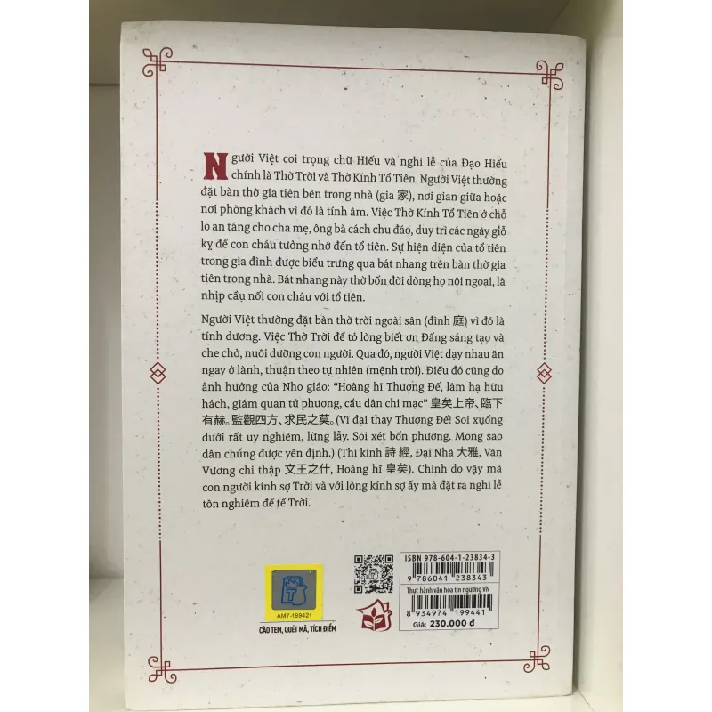 Thực Hành Văn Hóa Tín Ngưỡng Việt Nam - Nguyễn Hạnh 702752