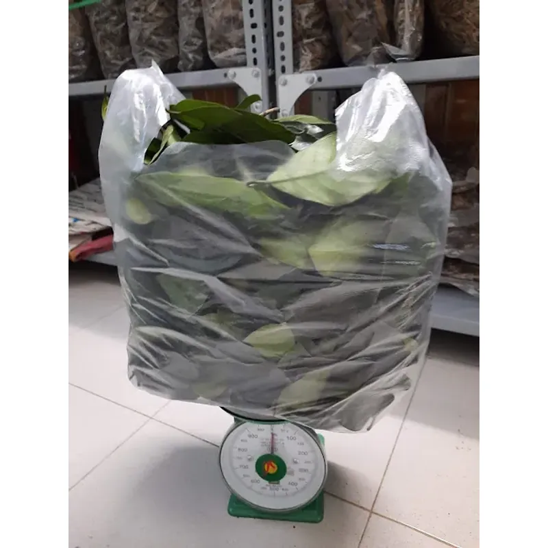 Lá cây chay tươi 758194