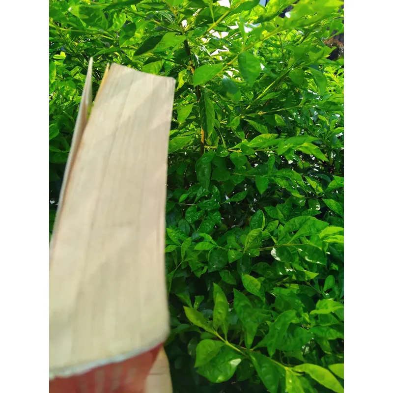 Đại cương triết học Trung Quốc  1032068