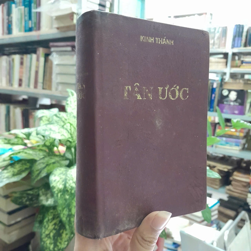 KINH THÁNH TÂN ƯỚC 472726