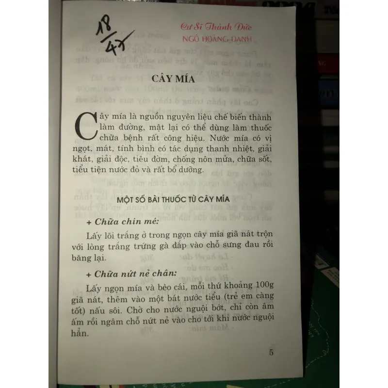 Thuốc quý vườn nhà bạn - Chữa bệnh bằng cây thuốc nam - Mai Hoa 936884
