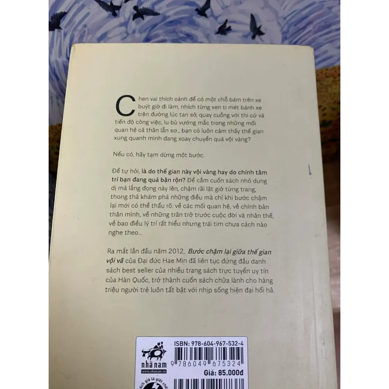 Bước Chậm Lại Giữa Thế Gian Vội Vã - Hae Min 926390