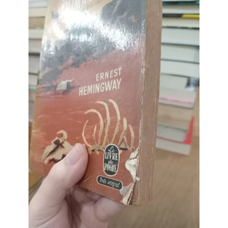 Les neiges du Kilimandjaro - Ernest Hemingway 604325
