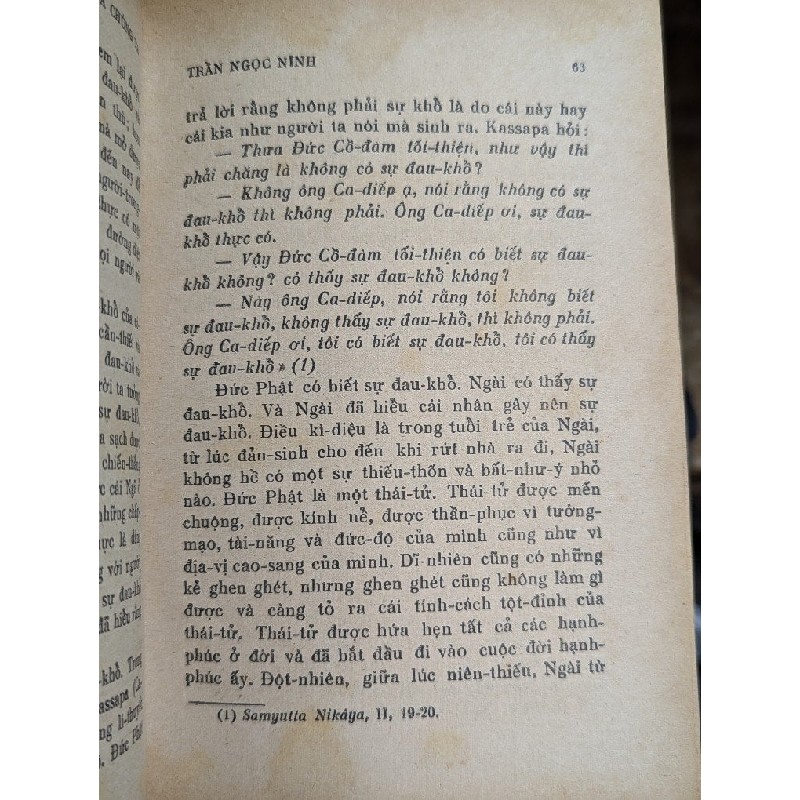 ĐỨC PHẬT GIỮA CHÚNG TA - TRẦN NGỌC NINH 193532