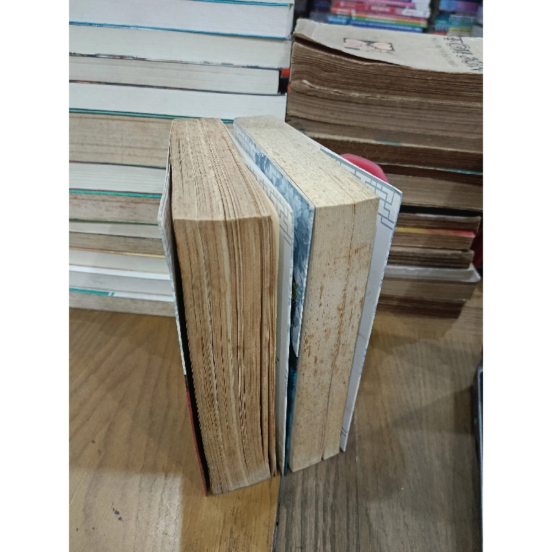 Nghề làm phi - Nguyệt Hạ Điệp Ảnh (Hằng Nguyễn dịch) 966416