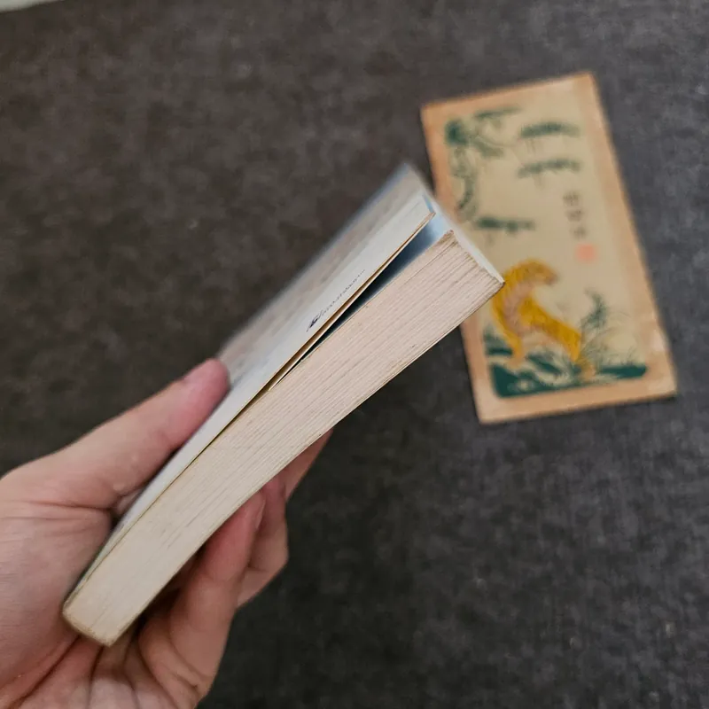 Bởi vì ta thuộc về nhau - phan anh 736891