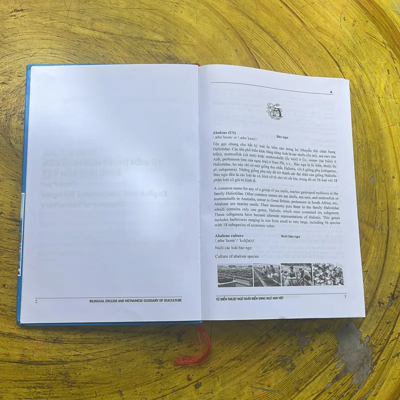 TỪ ĐIỂN THUẬT NGỮ NUÔI BIỂN SONG NGỮ ANH - VIỆT- VŨ DŨNG TIẾN 704074