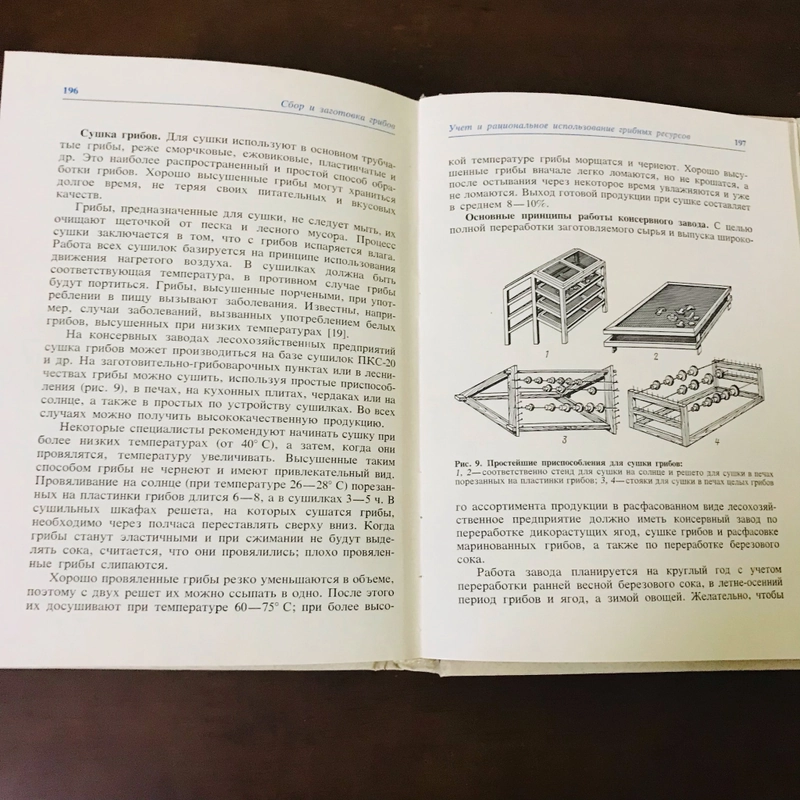 Thu thập và chế biến nấm  474048