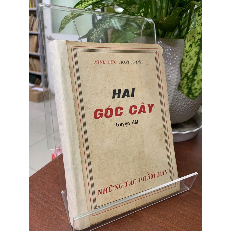 HAI GỐC CÂY - MINH ĐỨC HOÀI TRINH 548546