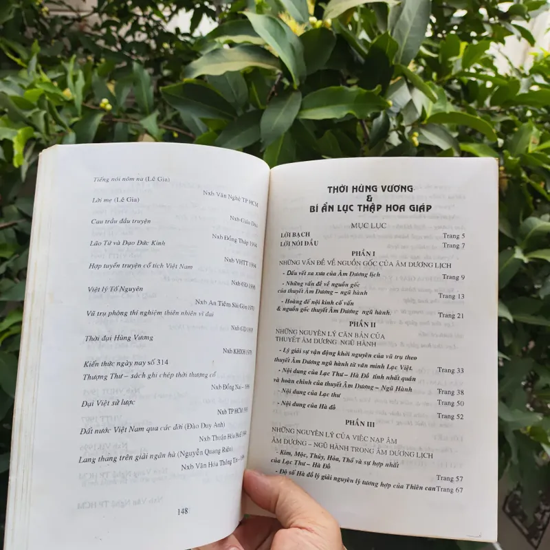 Thời Hùng Vương & Bí Ẩn Lục Thập Hoa Giáp - Nguyễn Vũ Tuấn Anh 722522