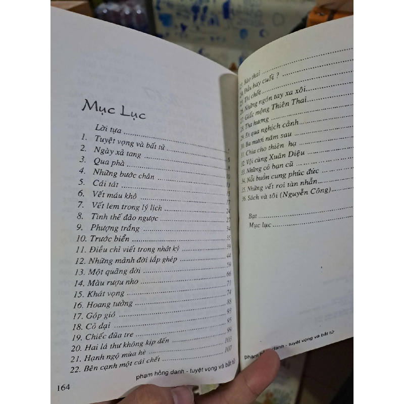 Tuyệt vọng và bất tư Pham Hồng Danh mới 80% ố 2012 Văn học Việt Nam HCM1809 923696