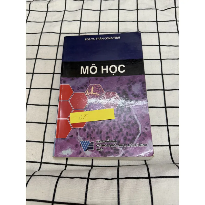 Sách MÔ HỌC  701459