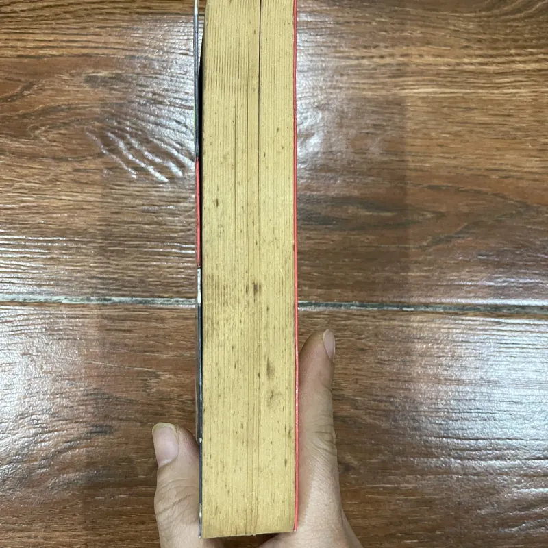 Người vợ Paris  (8) 945876