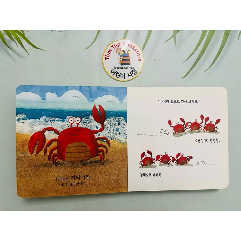 Set boardbook tiếng Hàn B34  1066253