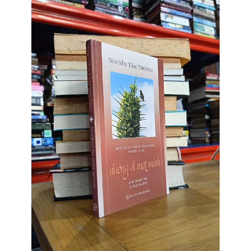 100 đề tài suy niệm và cầu nguyện: Đường đi một mình - Nguyễn Tầm Thường 583251