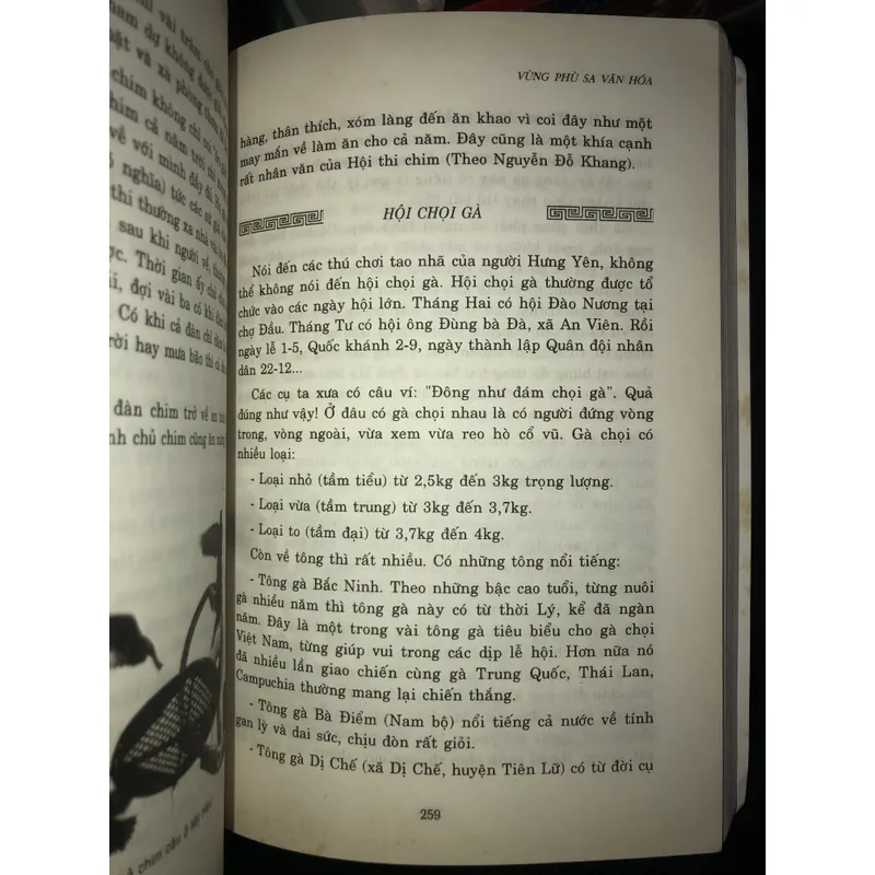 Hưng Yên - Vùng Phu Sa Văn Hoá  593903