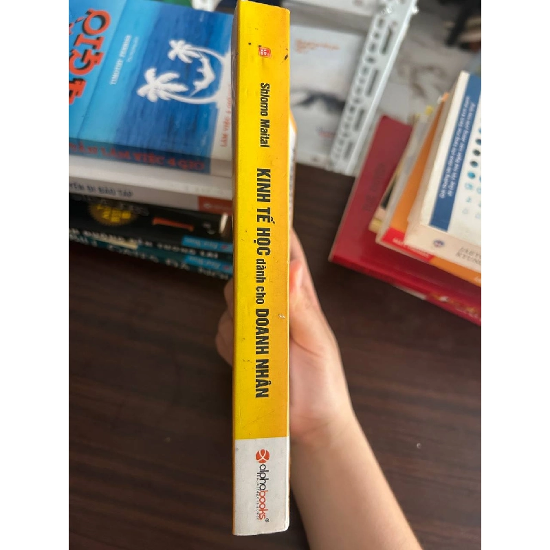 Kinh Tế Học Dành Cho Doanh Nhân - Shlomo Maital - Shlomo Maital 1008164
