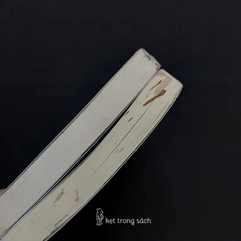 Tôi Có Câu Chuyện, Bạn Có Rượu Không? + Tôi Có Một Chén Rượu, Có Thể Xoa Dịu Hồng Trần 593637