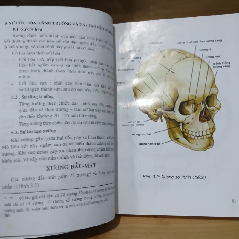 Giản Yếu Giải Phẫu Người (Nxb Y Học 2006) 1031447