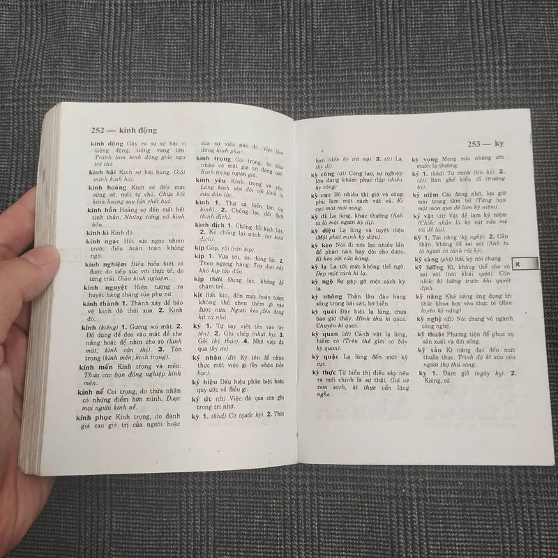 Từ điển Tiếng Việt 682034