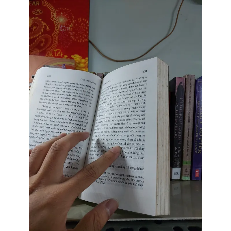 CUỘC ĐỜI CỦA PI 931455