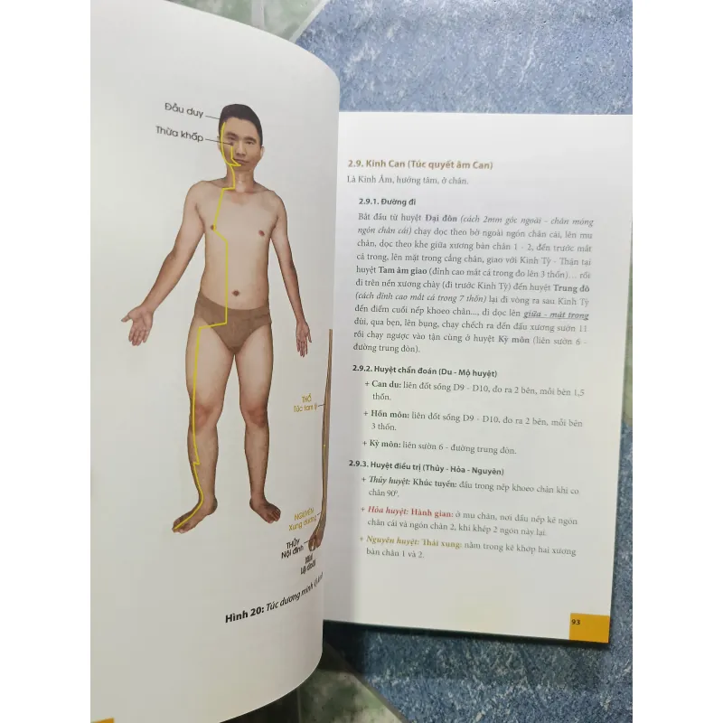 Y học cổ truyền - Nguyễn Mạnh Trí 932681