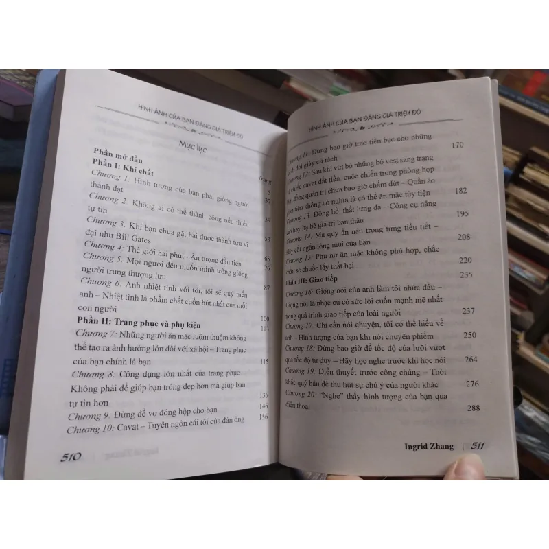 Sách: Hình ảnh của bạn đáng giá triệu đô - Tác giả: Ingrid Zang (A3) 601399